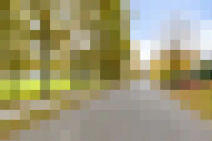 Soetendaal 8 Vierlingsbeek thumbnail 66