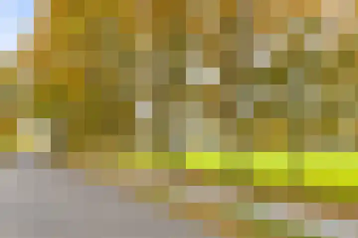 Soetendaal 8 Vierlingsbeek thumbnail 67