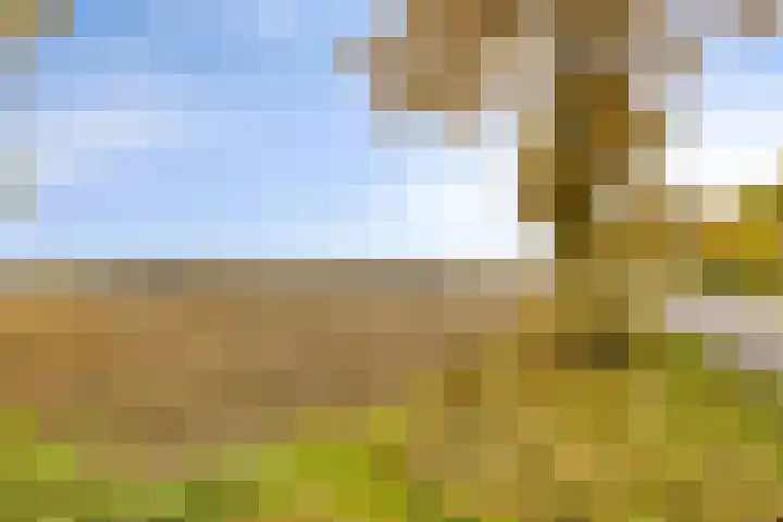 Soetendaal 8 Vierlingsbeek thumbnail 68