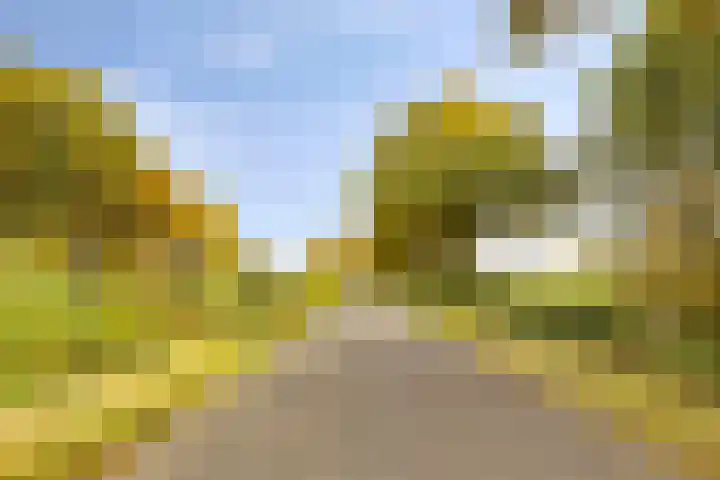 Soetendaal 8 Vierlingsbeek thumbnail 69