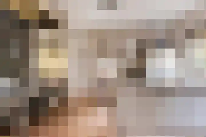 Soetendaal 8 Vierlingsbeek thumbnail 8