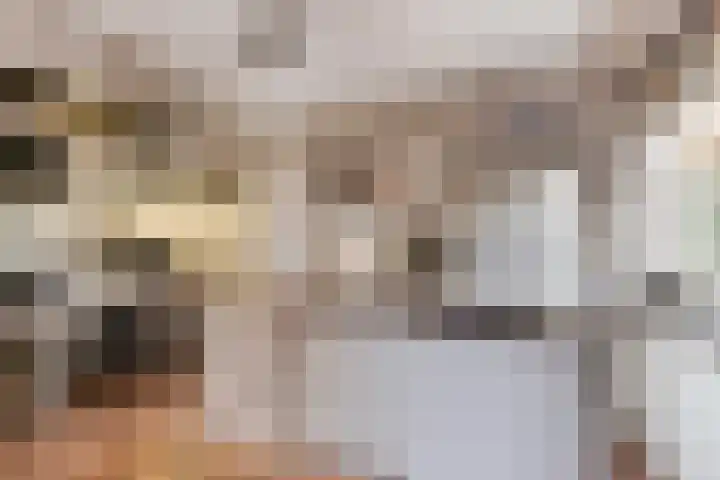 Soetendaal 8 Vierlingsbeek thumbnail 9