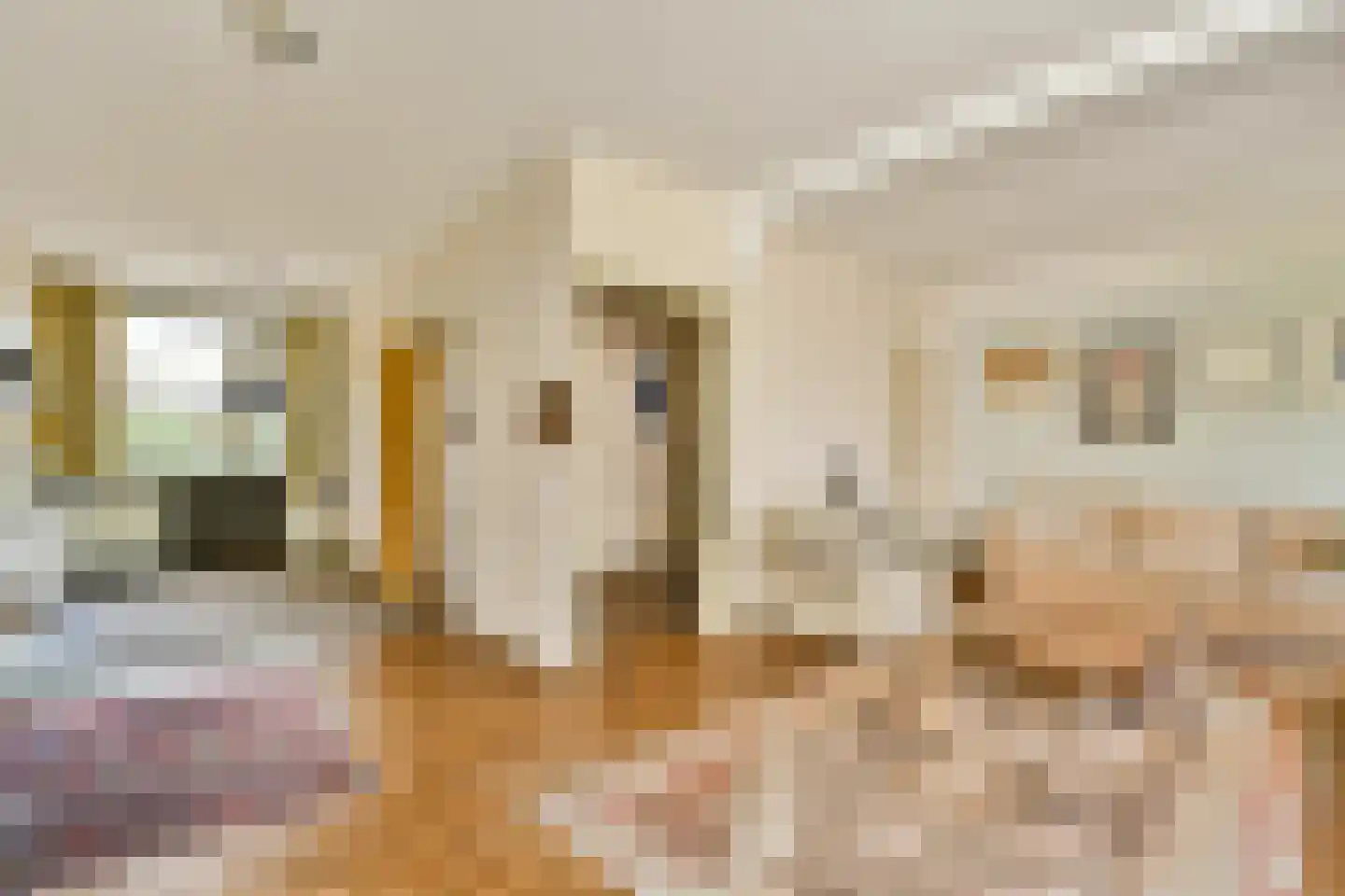 Soetendaal 84 Amsterdam thumbnail 11