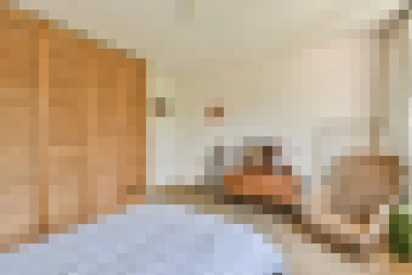 Soetendaal 84 Amsterdam thumbnail 17