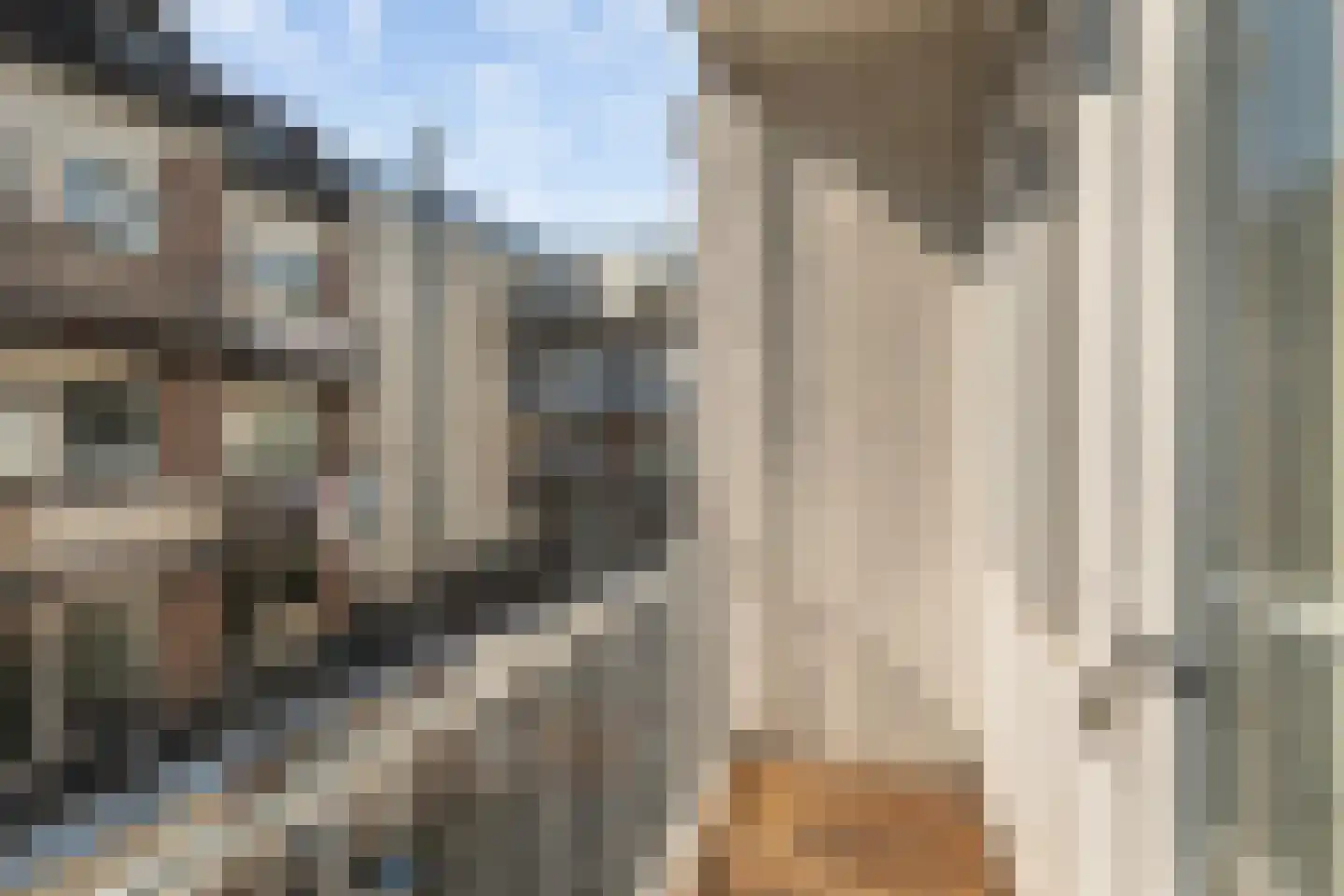 Soetendaalsekade 42 02 Rotterdam thumbnail 7