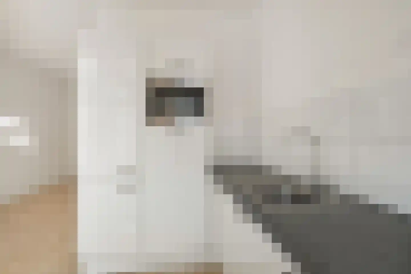 Soetendaalsekade 42 03 Rotterdam thumbnail 9