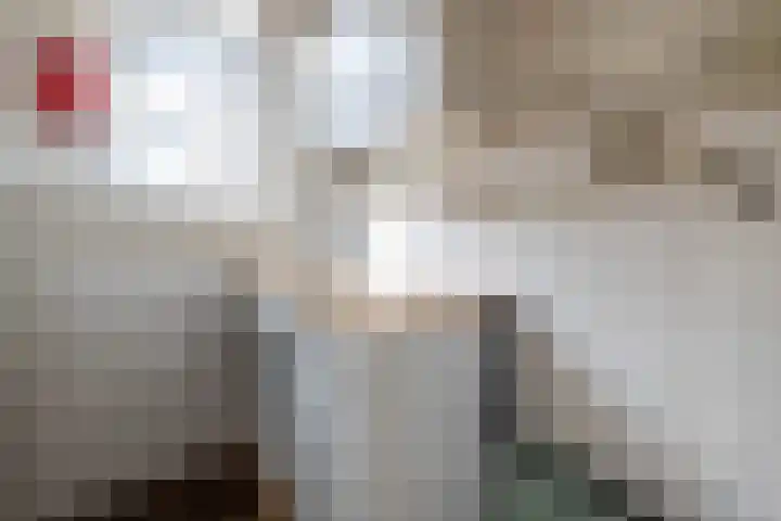 Soetendaalsekade 43 02 Rotterdam thumbnail 10