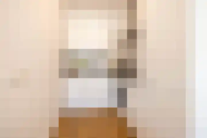 Soetendaalsekade 43 02 Rotterdam thumbnail 11