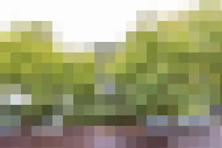 Soetendaalsekade 43 02 Rotterdam thumbnail 13