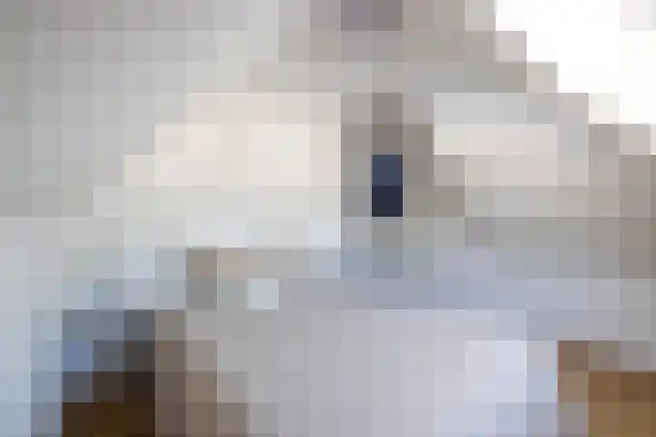 Soetendaalsekade 43 02 Rotterdam thumbnail 19