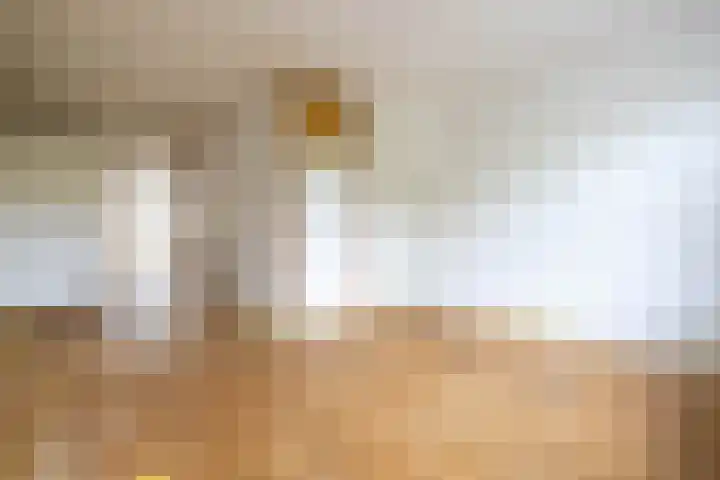 Soetendaalsekade 43 02 Rotterdam thumbnail 4