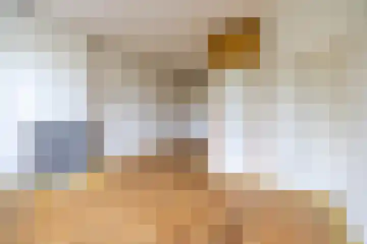 Soetendaalsekade 43 02 Rotterdam thumbnail 5