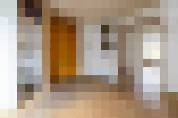 Soetendaalsekade 43 02 Rotterdam thumbnail 7