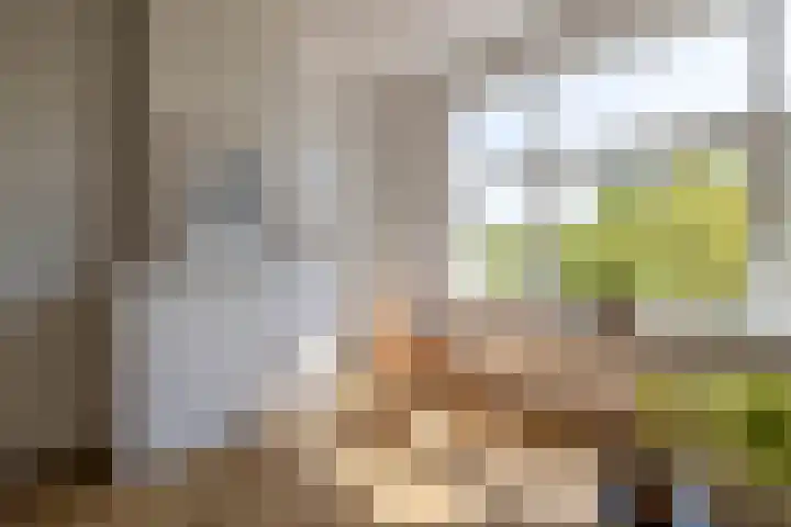 Soetendaalsekade 43 02 Rotterdam thumbnail 8