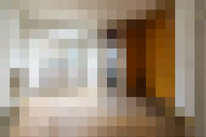Soetendaalsekade 43 02 Rotterdam thumbnail 9