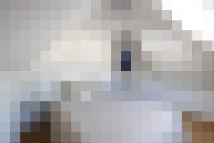 Soetendaalsekade 44 B 01 Rotterdam thumbnail 26