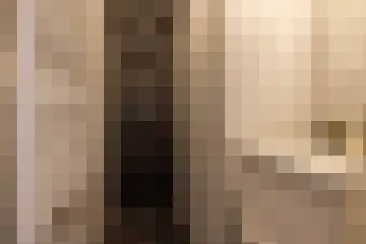 Soetendaalsekade 44 B 01 Rotterdam thumbnail 28