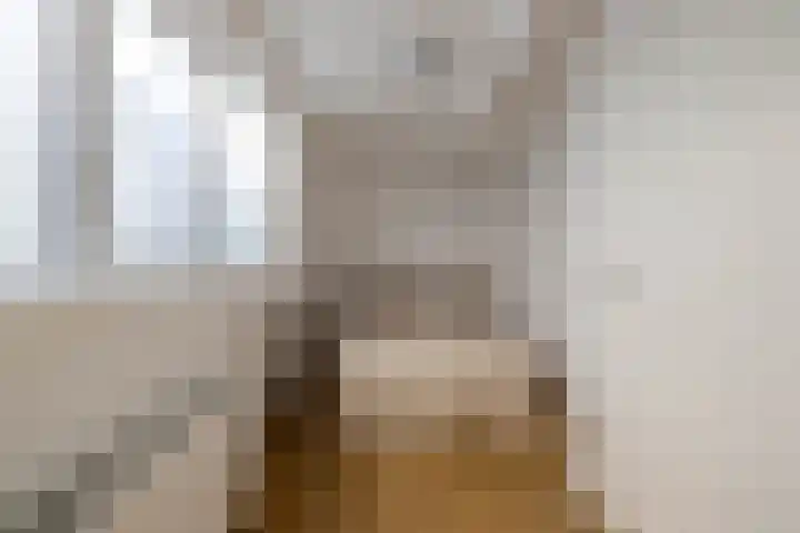 Soetendaalsekade 44 B 01 Rotterdam thumbnail 5