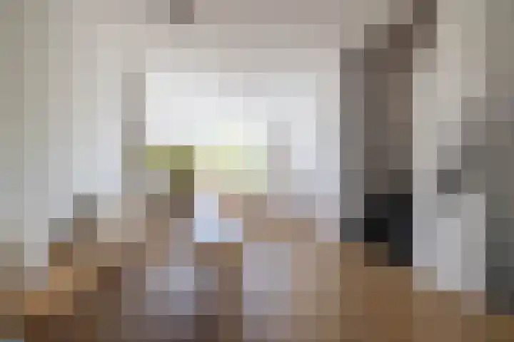 Soetendaalsekade 44 B 01 Rotterdam thumbnail 9