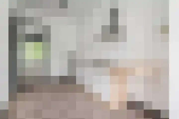 Soetendaalsekade 58 B 03 Rotterdam thumbnail 12