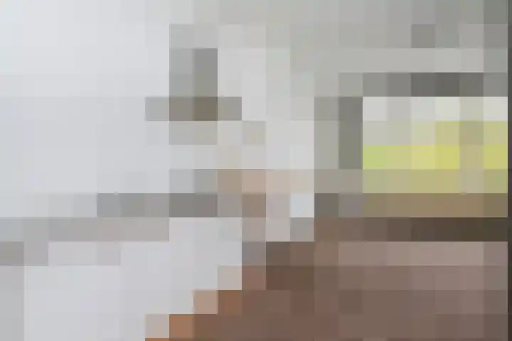 Soetendaalsekade 58 B 03 Rotterdam thumbnail 14