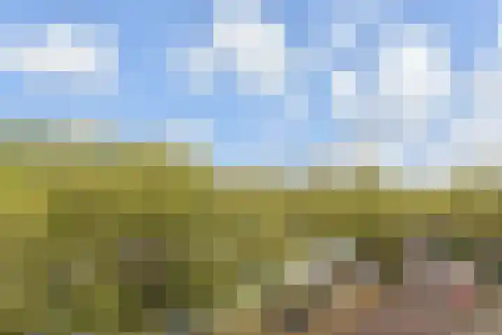 Soetendaalsekade 58 B 03 Rotterdam thumbnail 4