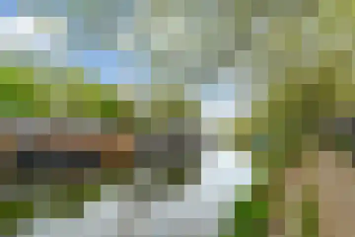 Soetendaalsekade 58 B 03 Rotterdam thumbnail 5