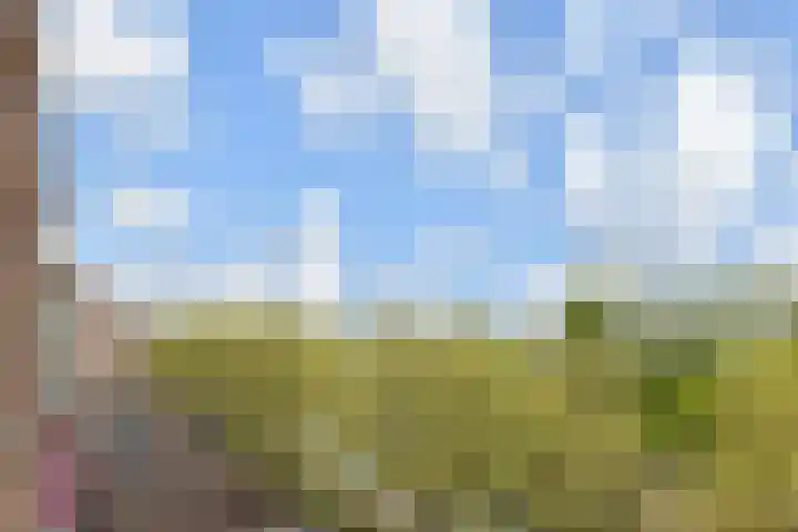Soetendaalsekade 58 B 03 Rotterdam thumbnail 9
