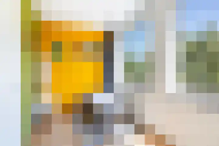 Soetendaalsestraat 39 Rotterdam thumbnail 30