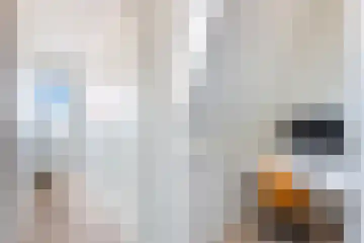 Soetendaalsestraat 39 Rotterdam thumbnail 34