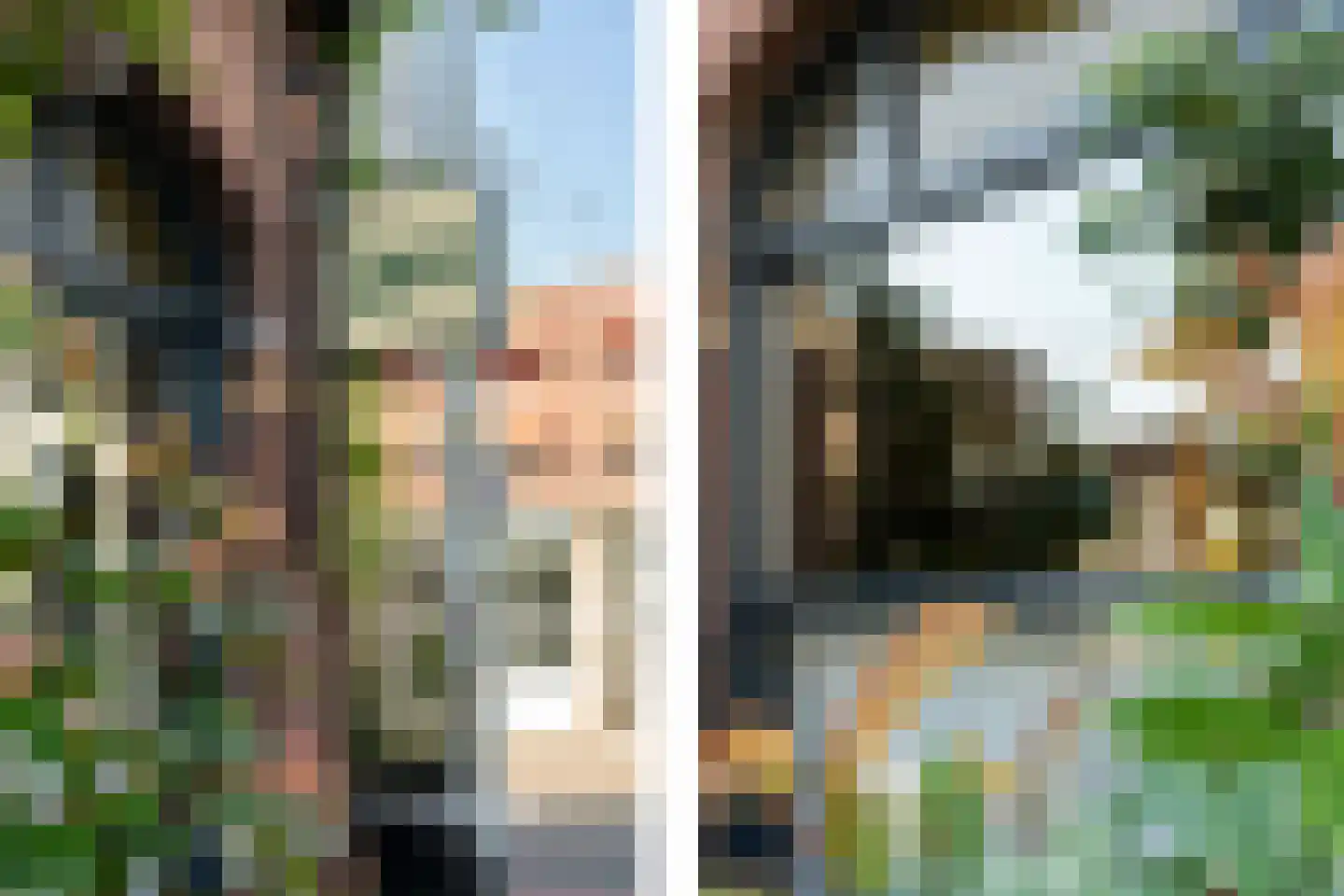 Soetendaalseweg 104 01 Rotterdam thumbnail 10