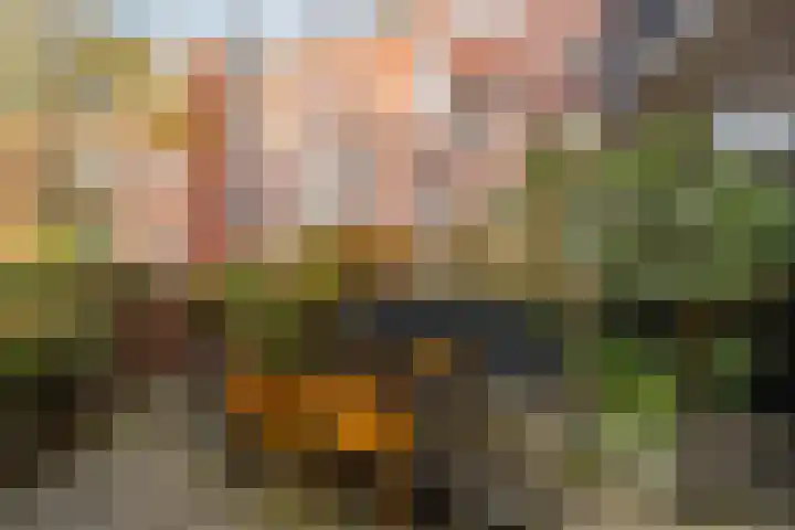 Soetendaalseweg 11 Rotterdam thumbnail 13