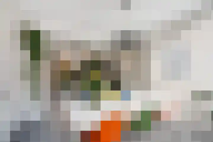 Soetendaalseweg 11 Rotterdam thumbnail 16