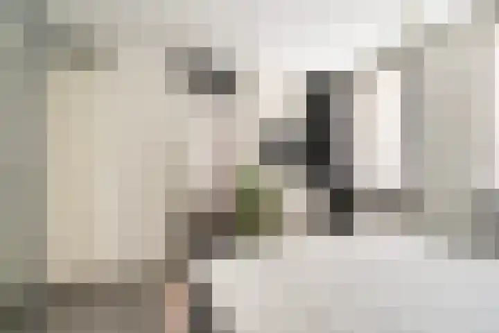 Soetendaalseweg 11 Rotterdam thumbnail 22
