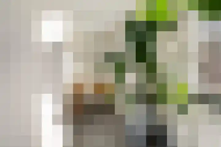 Soetendaalseweg 11 Rotterdam thumbnail 32