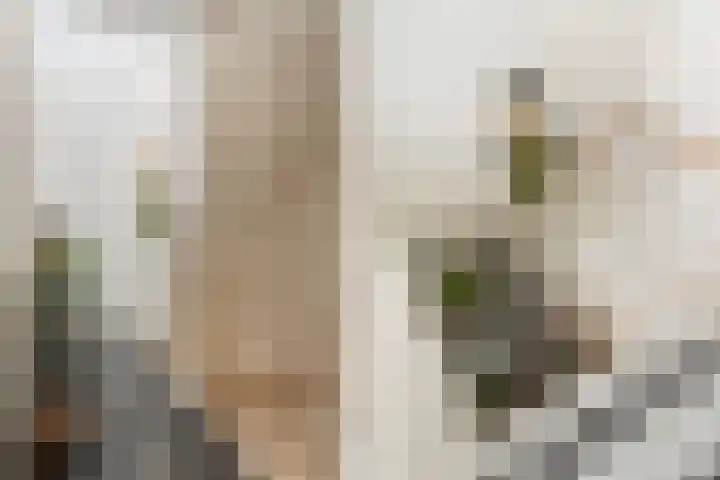 Soetendaalseweg 11 Rotterdam thumbnail 33