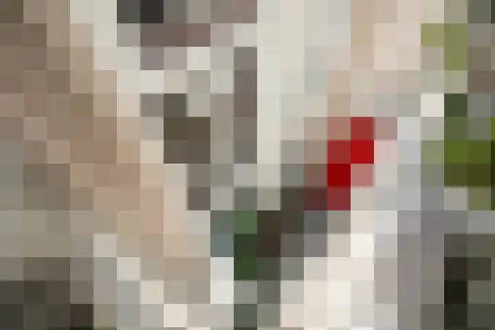 Soetendaalseweg 11 Rotterdam thumbnail 4