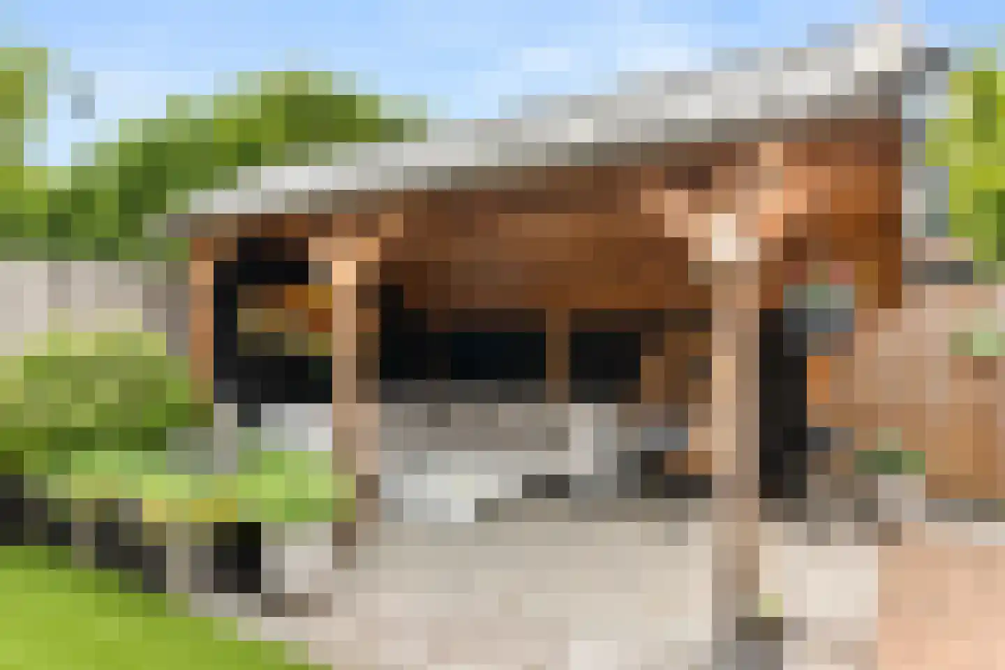 Soetendaalseweg 23 A Bennekom thumbnail 14