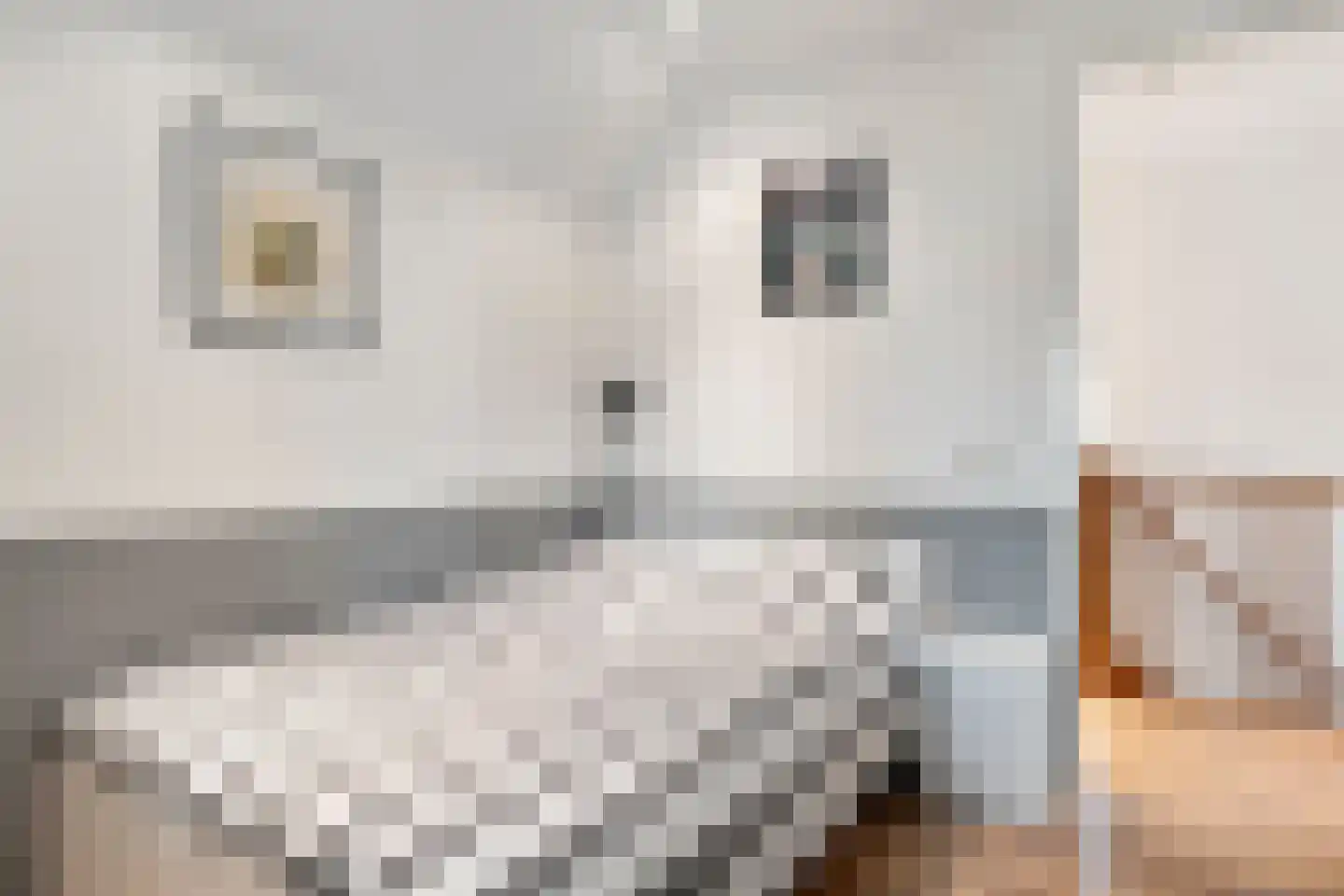Soetendaalseweg 23 A Bennekom thumbnail 41