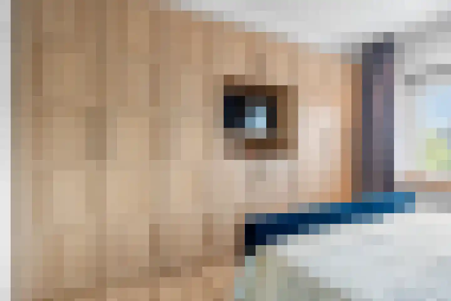 Soetendaalseweg 23 A Bennekom thumbnail 44