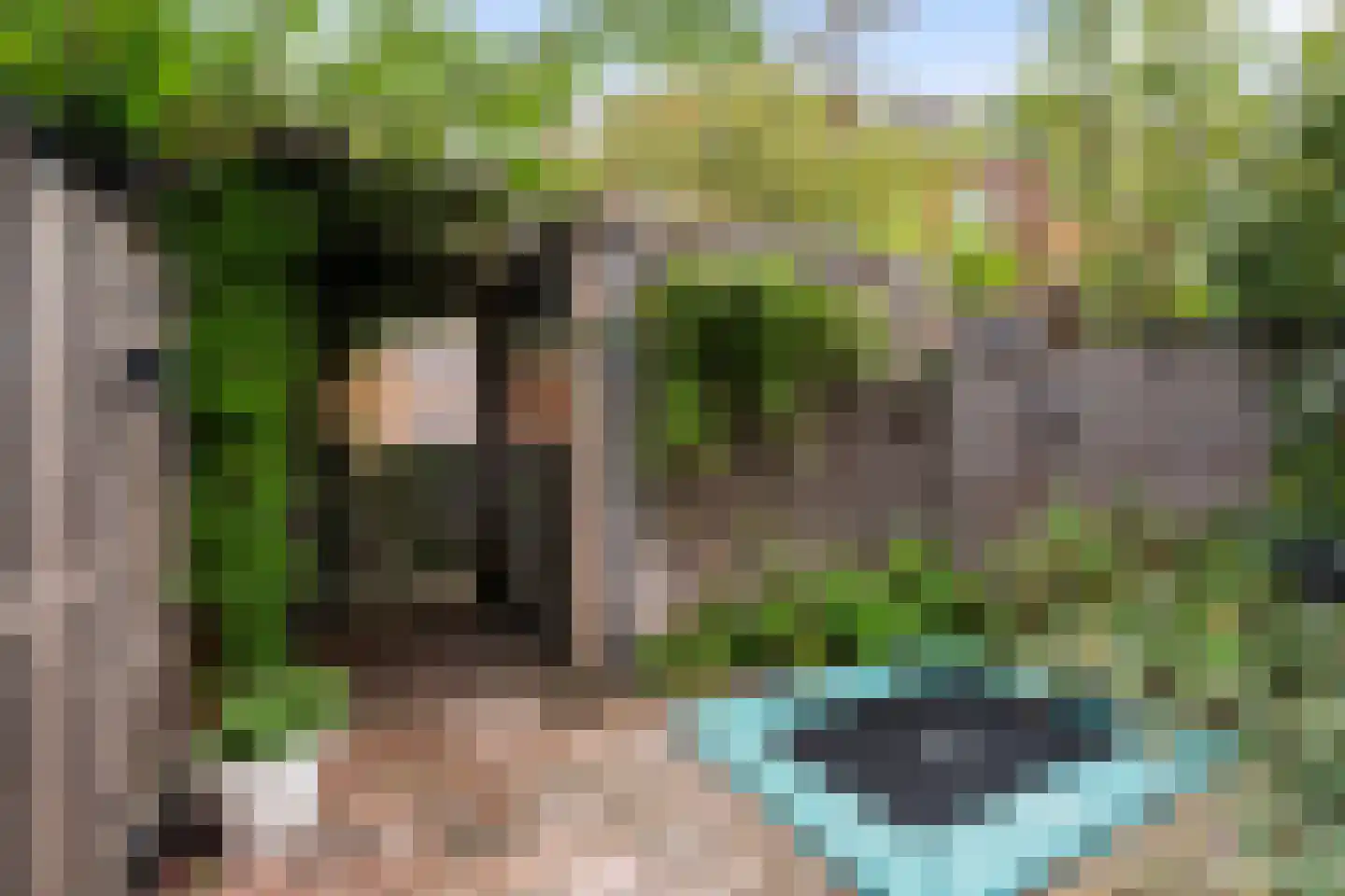 Soetendaalseweg 27 Rotterdam thumbnail 18