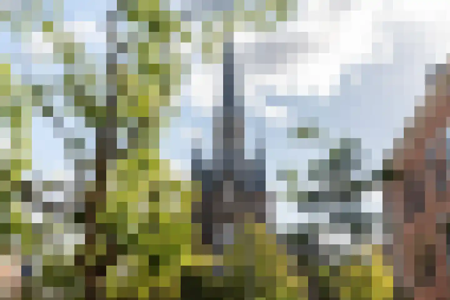 Soetendaalseweg 57 A Rotterdam thumbnail 36