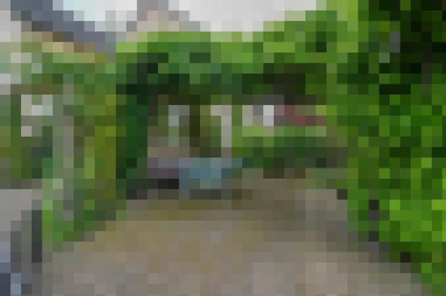 Soetendaalseweg 6 Bennekom thumbnail 5