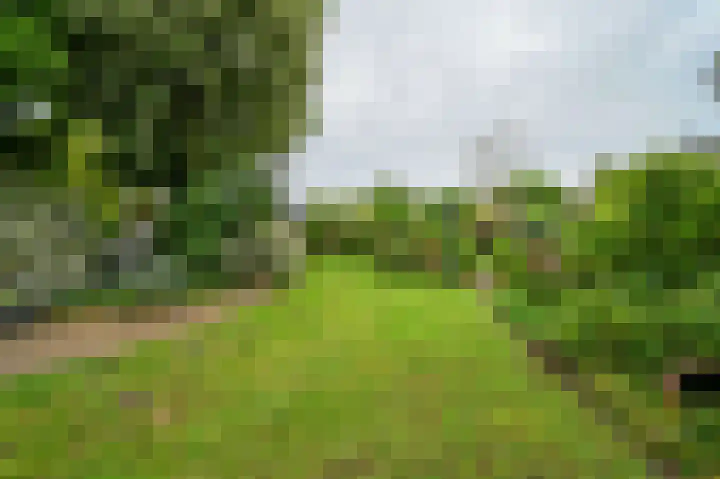 Soetendaalseweg 6 Bennekom thumbnail 7