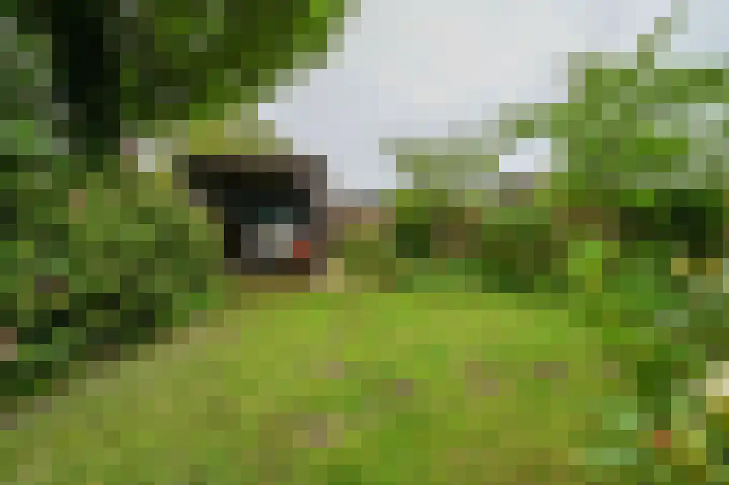 Soetendaalseweg 6 Bennekom thumbnail 9