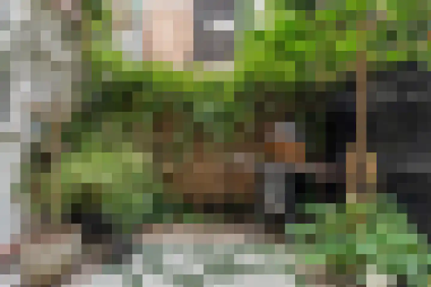 Soetendaalseweg 85 A Rotterdam thumbnail 30