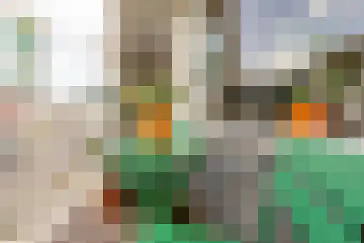 Soetensteeg 15 Rotterdam thumbnail 12