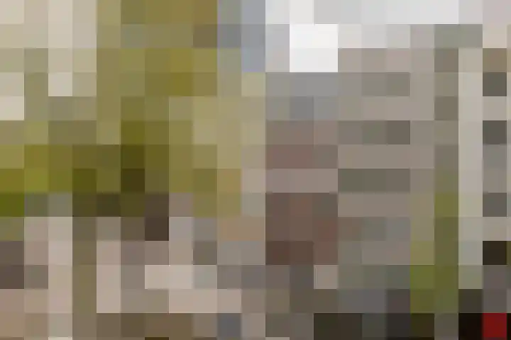 Soetensteeg 15 Rotterdam thumbnail 15
