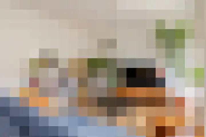 Soetensteeg 15 Rotterdam thumbnail 16