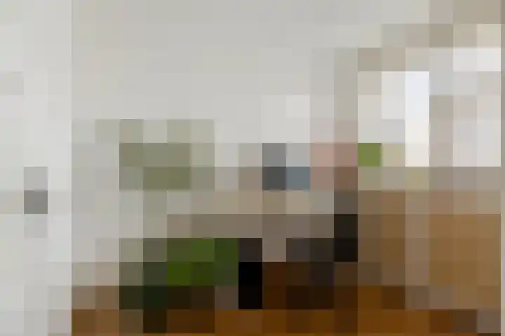 Soetensteeg 15 Rotterdam thumbnail 23